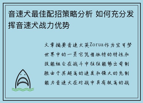 音速犬最佳配招策略分析 如何充分发挥音速犬战力优势